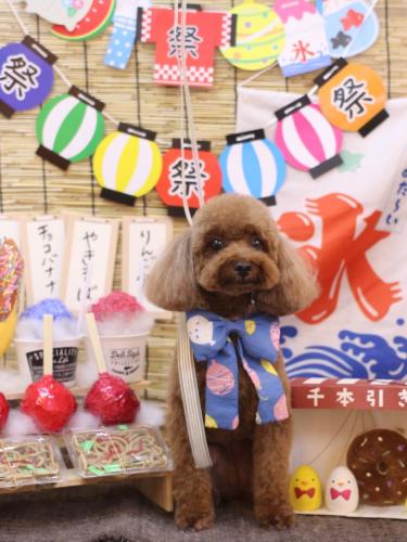 20240713ルアナちゃん